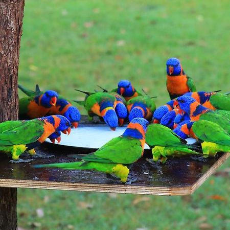 Batchelor Holiday Park Bagian luar foto