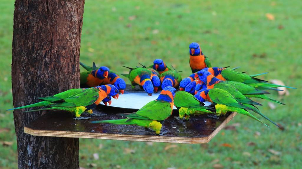 Batchelor Holiday Park Bagian luar foto